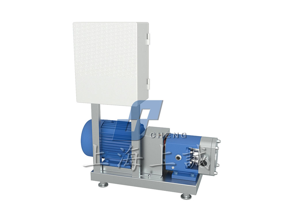 變頻調(diào)速轉(zhuǎn)子泵3