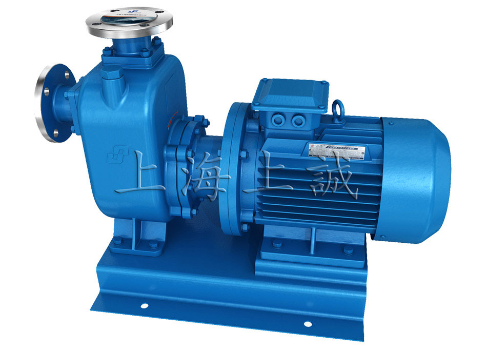 直聯(lián)式自吸泵