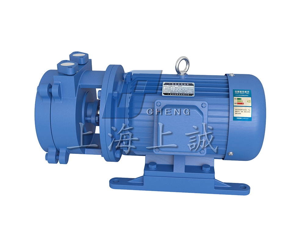 SK直聯(lián)水環(huán)式真空泵2