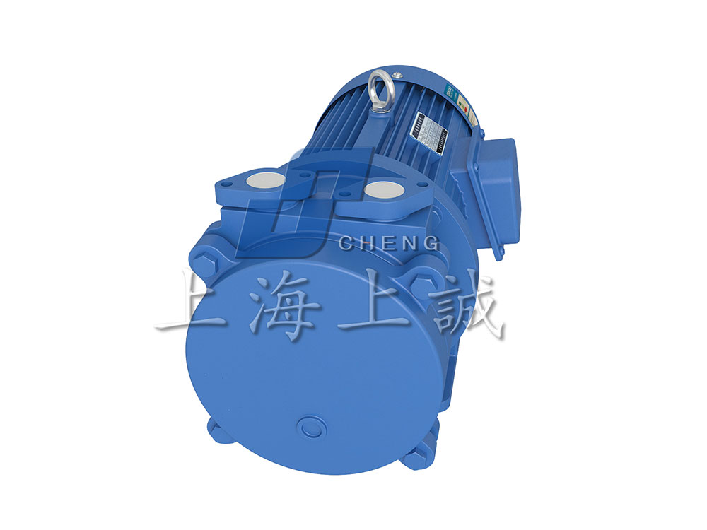 SK直聯(lián)水環(huán)式真空泵3