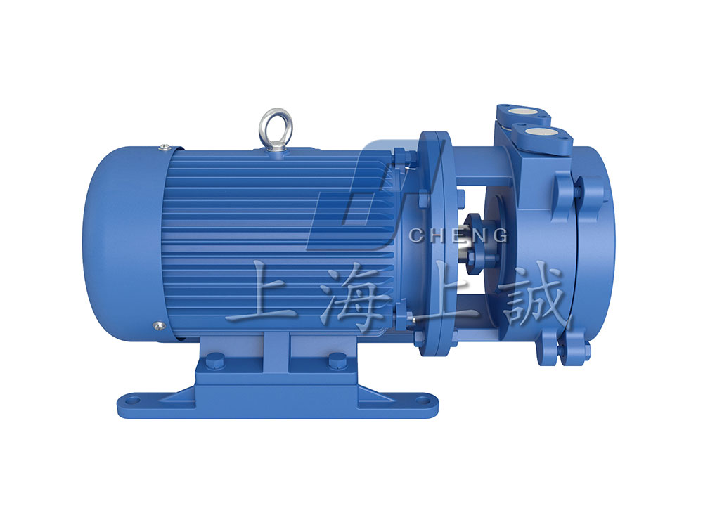 SK直聯(lián)水環(huán)式真空泵4