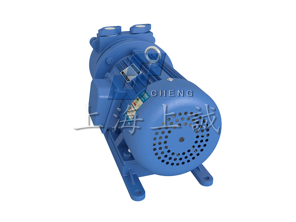 SK直聯(lián)水環(huán)式真空泵5