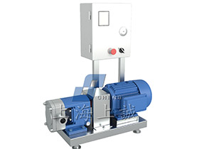 變頻調(diào)速轉(zhuǎn)子泵