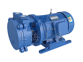 SK直聯(lián)水環(huán)式真空泵