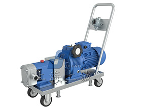 移動(dòng)式轉(zhuǎn)子泵