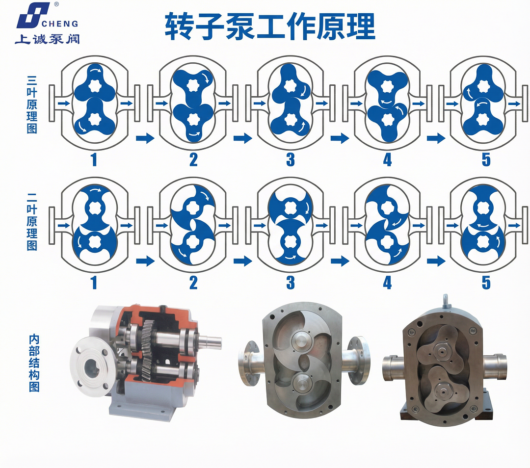 轉(zhuǎn)子泵工作原理、結(jié)構(gòu)組成及應(yīng)用分析｜上海上誠泵閥