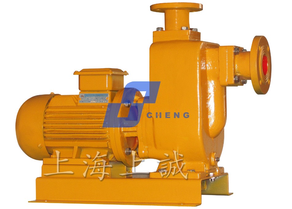 連接式和直聯(lián)式臥式自吸排污泵